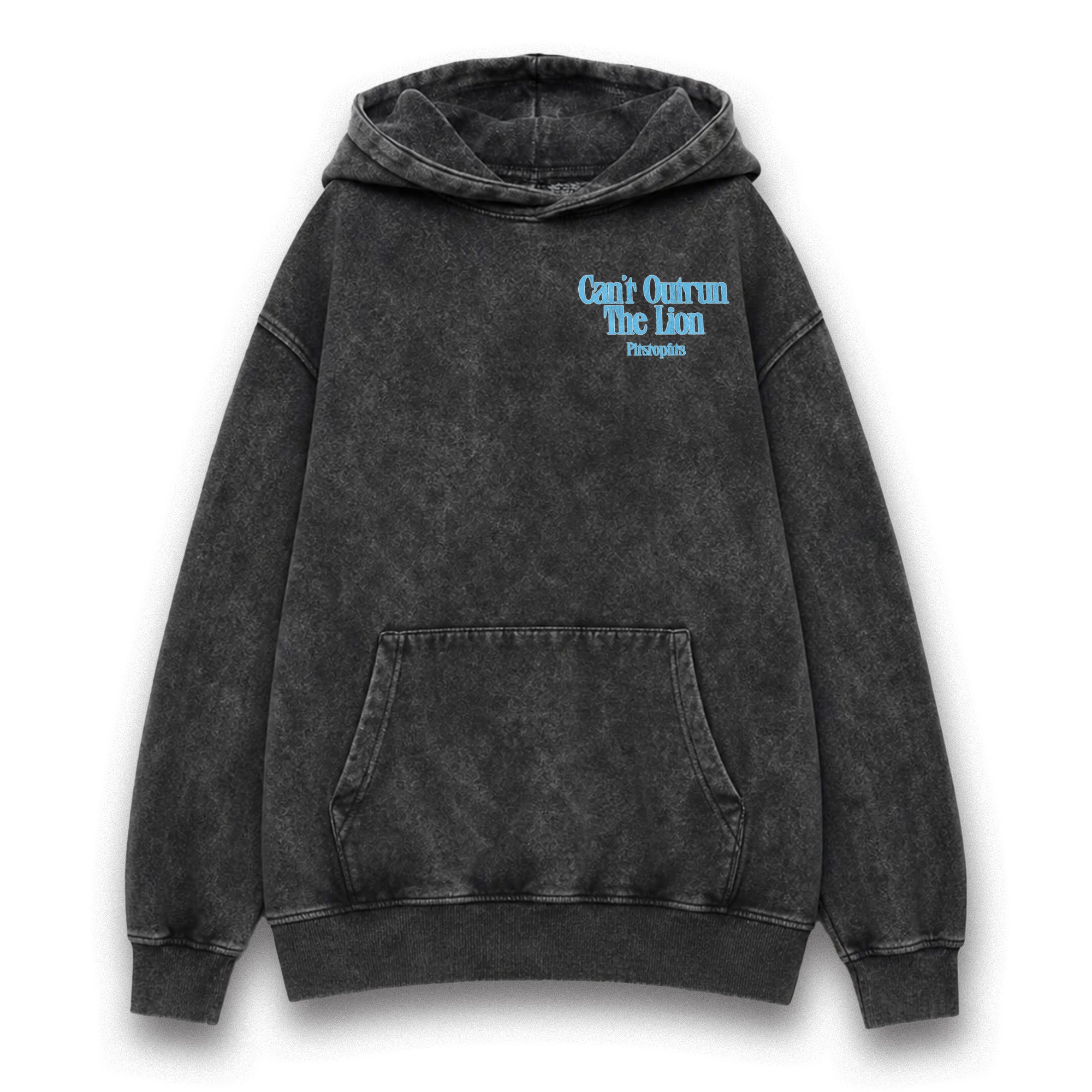 Verstappen Lion Washed Hoodie